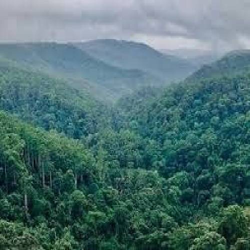  خط ها رو گوشیم بود الان تو رگه تو بهم جا بشی بار